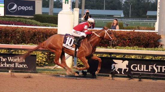 ▲图/Pegasus World Cup，‘铤而走险’