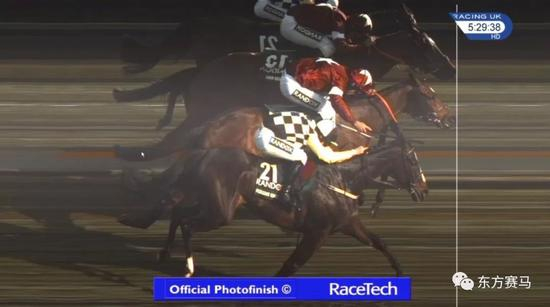 ▲图/RaceTech，‘虎皮卷*’（红衣）