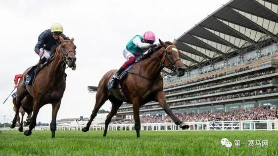 图片由Edward Whitaker/racingpost.com提供。