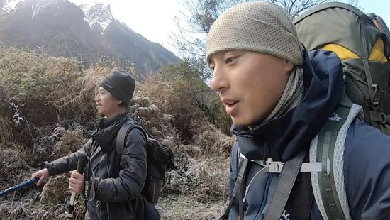 王相军与“亚历山大流浪狗”