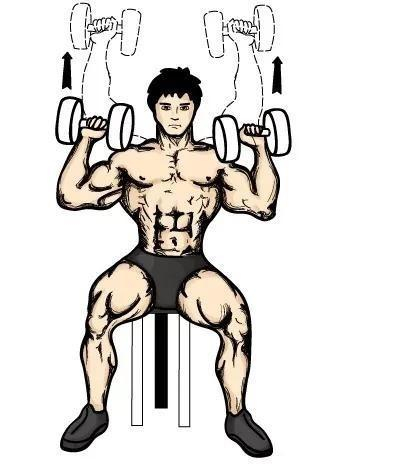 动作三：俯身哑铃单臂侧平举