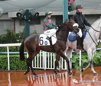 冠军：胜利风范 （澳） / Victoriam