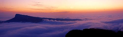 [它更是一家美食餐厅]
