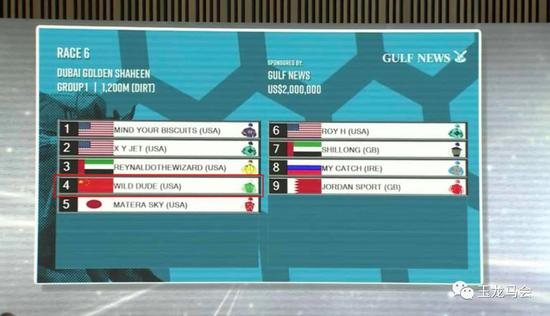 玉龙公子当天比赛排位表