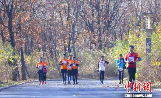 图为比赛现场。（主办方提供）