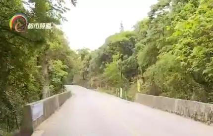 △吴女士日常跑步的宝花路