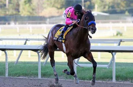 ▲图/Taylor Ejdys，‘西海隅’