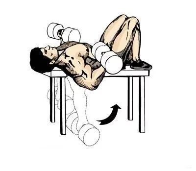 动作五：哑铃集中式弯举