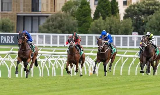 “云丝仙子”，图片来自赛事官网。