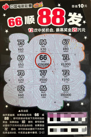林先生的中奖彩票