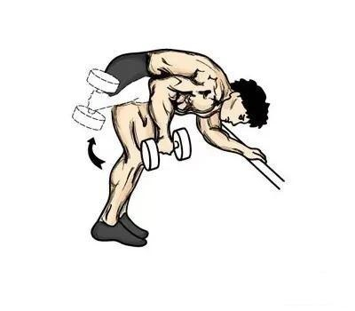 训练部位六：腿部