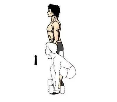 动作二：哑铃直腿硬拉