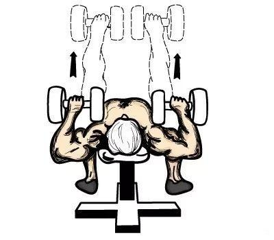 动作三：上斜哑铃飞鸟