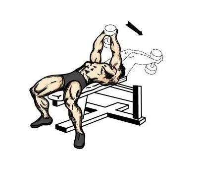 训练部位三：背部