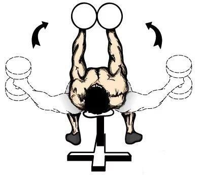 动作二：平地哑铃卧推