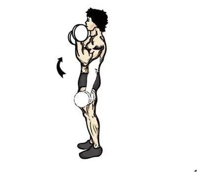 动作四：仰卧哑铃弯举