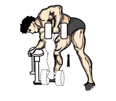 动作二：哑铃耸肩