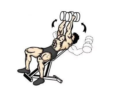 动作四：上斜哑铃卧推