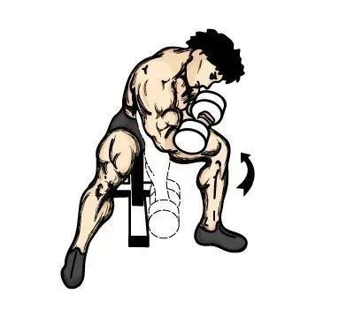 训练部位五：肱三头肌