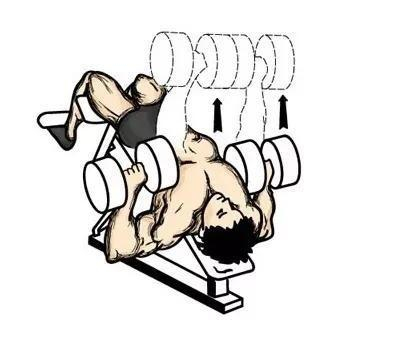 动作六：仰卧哑铃上举