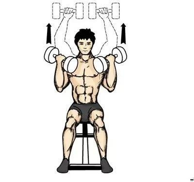 动作五：哑铃侧平举