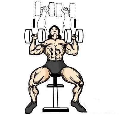 动作五：下斜哑铃卧推