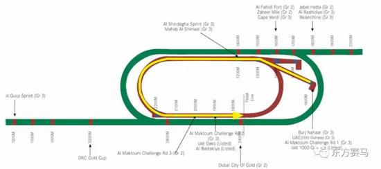 ▲图/Meydan Racecourse