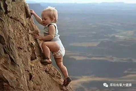 如果他都敢爬，你我都敢！（完）