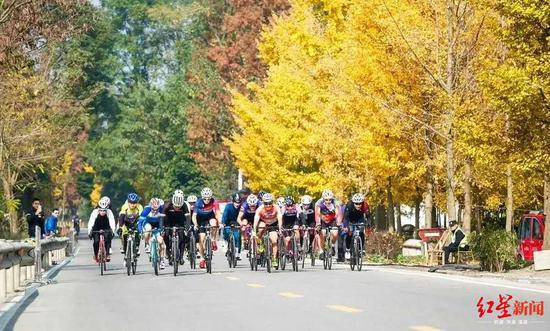 天府绿道国际自行车车迷健身节