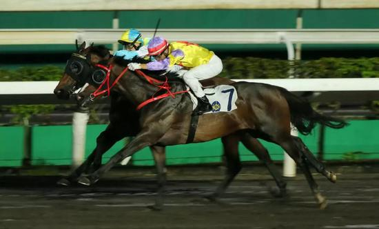 ‘平海飞星’（7号马）