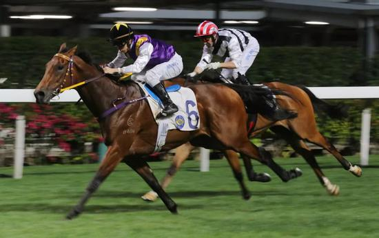 ‘狂舞派’（Cinquante Cinq）