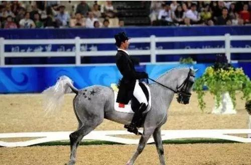 奥运会骑手华天（18岁）参加2008年奥运会