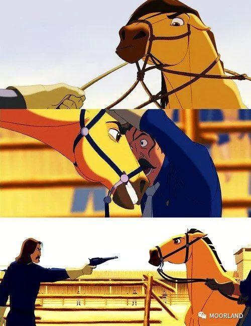  △看多少遍都不腻的《小马王》