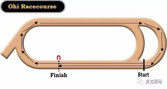 ▲图/TokyoCityKeiba