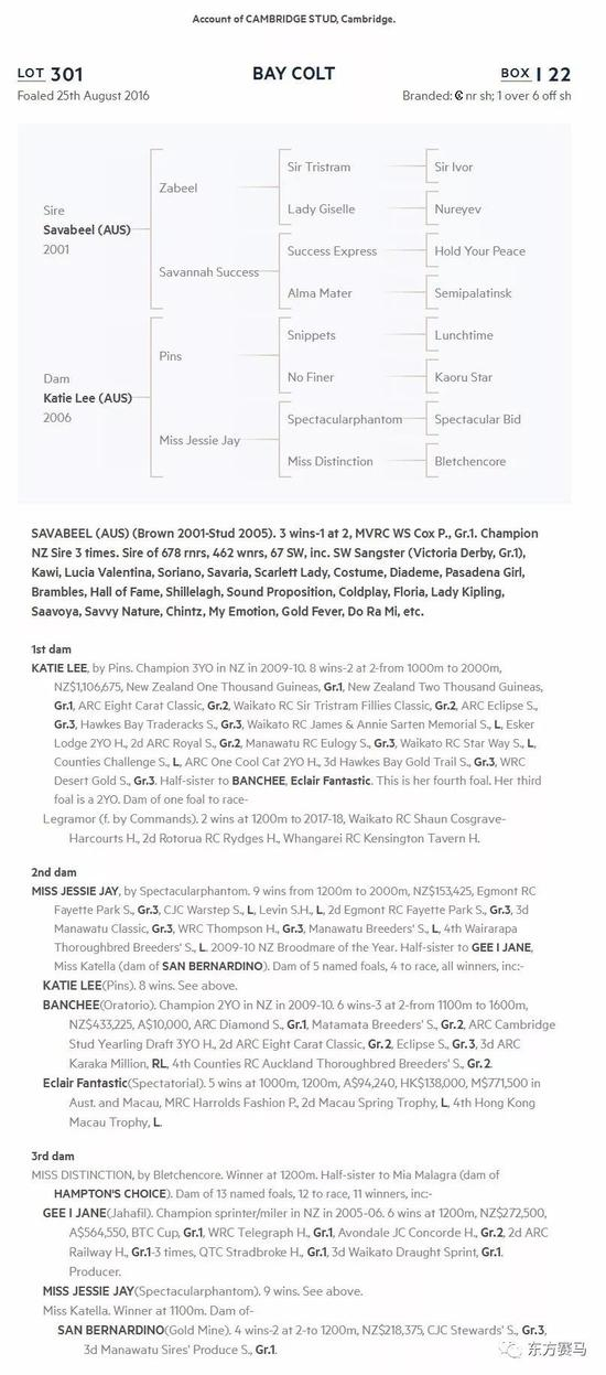 ▲图/NZB，301号马的血统页