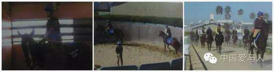 按部就班进行骑乘训练