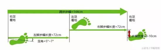 步频和步幅对跑步效果有何影响？