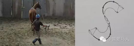 在调教圈内转换方向