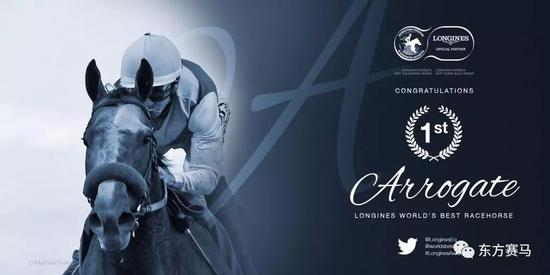 ▲图/IFHA，‘鸠占鹊巢*’