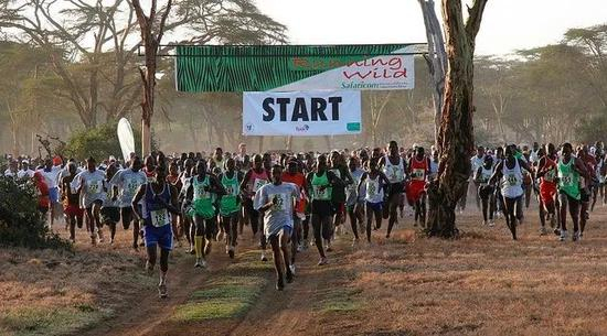 Photo by Arturodelgado via Flickr