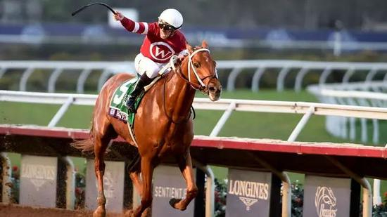 “铤而走险”赢得2017育马者杯经典赛冠军-图片来自Reuters.com