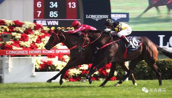 ▲图/NZTM，‘红衣醒神’（左）