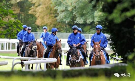 高多芬（Godolphin）马房