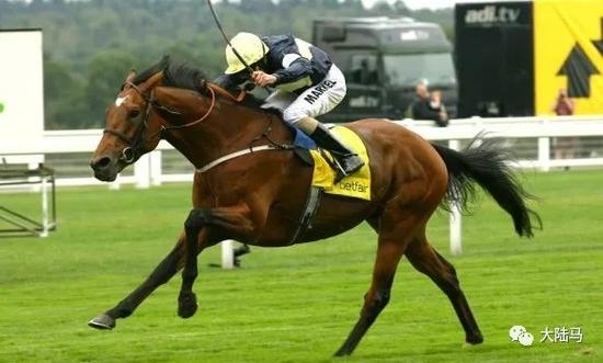 “天赐宝驹”（Nathaniel）