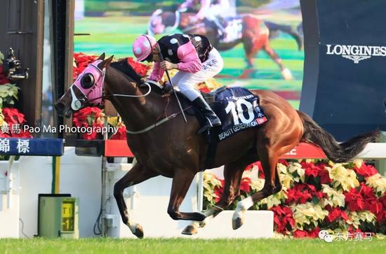 ▲图/Pao Ma，‘美丽传承’