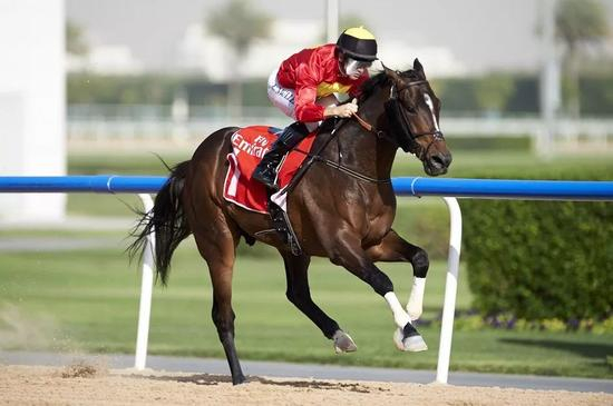 “玉龙勇者”，图片由主办方提供。