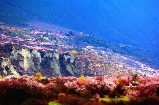 色彩香格里拉