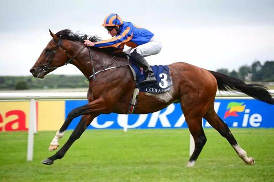 “丘吉尔”-图片来自英国媒体The Sun