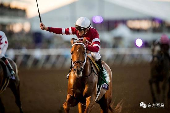 ▲图/Alex Evers，‘铤而走险’