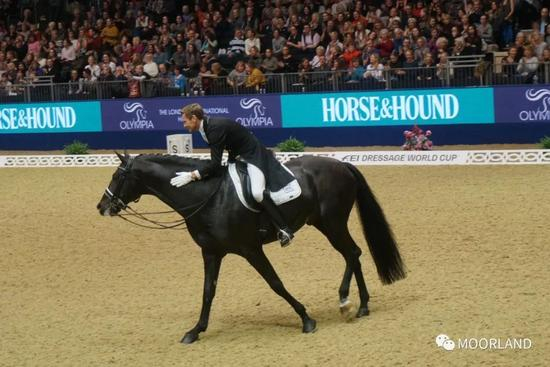 △伦敦奥林匹亚马展上，荷兰骑手Edward Gal在比赛结束后表扬自己的马